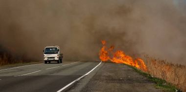 Ռուսաստանում անտառային հրդեհների տարածքն ավելացել է 6,5 հազար հեկտարով