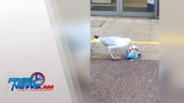 Միջազգային լուրեր 23.05.2022