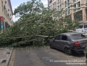 Ուժեղ քամին վնասներ է հասցրել Երեւանի տարբեր հատվածներում (լուսանկարներ)