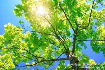 Հունիս ամսվա կլիմայական բնութագիրն ու եղանակային կանխատեսումը