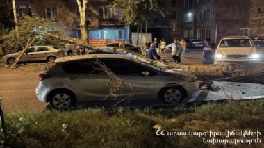 Աբովյան քաղաքում ծառն ընկել է կայանած ավտոմեքենաների վրա