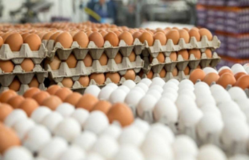 «ԷԿՈ» բառի կիրառմամբ հավկիթների իրացման փաստի առթիվ երեք ընկերության նկատմամբ ՄՊՀ-ն հարուցել է վարույթներ