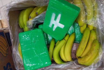 Չեխիայի սուպերմարկետի աշխատակիցները բանանի արկղերում հայտնաբերել են կես տոննա կոկաին