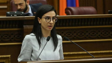 Ունենք մեխանիզմ, որը թույլ կտա հաղթահարել գոնե մինչդատական վարույթում ձգձգումները. Վարդապետյան