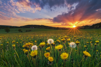 Օդի ջերմաստիճանը կշարունակի բարձրանալ