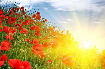 Օդի ջերմաստիճանը կբարձրանա մինչև 39 աստիճան