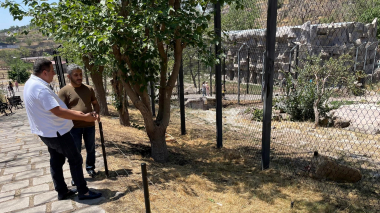 Կենդանաբանական այգին բարեկարգվում է. Աշոտ Սարգսյան