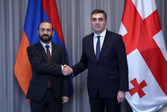 Խաղաղություն և կայունություն հաստատելու մեր համատեղ ջանքերն արդյունք կտան. Վրաստանի ԱԳ նախարար