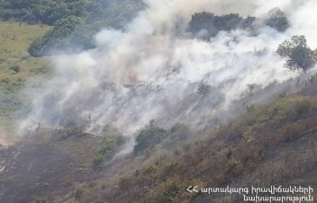 Այգեձորում այրվել է մոտ 15 հա խոտածածկույթ