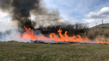 Հրշեջ-փրկարարները մարել են ընդհանուր մոտ 29 հա տարածքում բռնկված հրդեհները