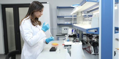 Բուհերում կիրականացվեն նորարարական ու զարգացման ծրագրեր.ԿԳՄՍՆ