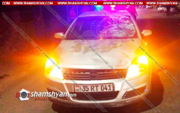 Վրաերթ Դարակերտ գյուղում. 8-ամսական երեխան մահացել է, 26-ամյա մայրը՝ տեղափոխվել հիվանդանոց