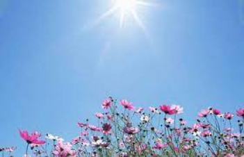 Հայաստանում բարձր կարգի հրդեհավտանգ իրավիճակը կպահպանվի, սպասվում է քամու ուժգնացում