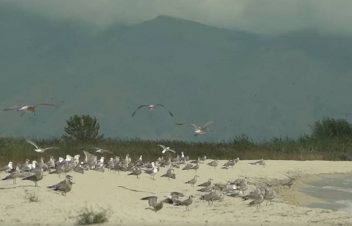 Սևան ազգային պարկի «Նորաշեն» արգելոց և արգելավայր քաղաքացիների մուտքը թույլատրվում է հատուկ կարգով