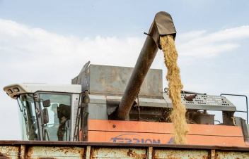 Լոռու մարզում հացահատիկի բերքահավաքը բուռն ընթացքի մեջ է. բերքի 90 տոկոսն արդեն հավաքվել է