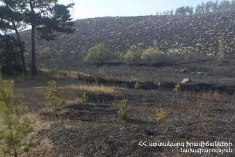 Վարդենիկ գյուղում այրվել է մոտ 40 հա խոտածածկույթ