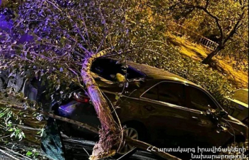 Երևանում ծառն ընկել է ավտոմեքենայի վրա