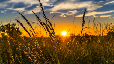 Առաջիկա օրերին օդի ջերմաստիճանը կբարձրանա 5-7 աստիճանով