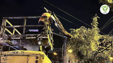 Երևանի քաղաքապետն ու ԿՇՄՊ ՀՈԱԿ-ի տնօրենը հետևում են տարբեր հասցեներում քամու հետևանքով առաջացած ավերվածություններին