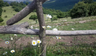 Արցախի որոշ շրջաններում կանխատեսվում է քամու ուժգնացում