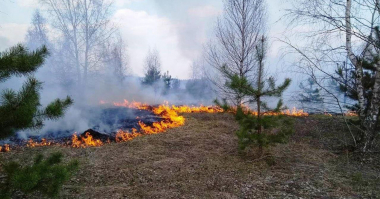Ռուսաստանում օրական ավելի քան 30 անտառային հրդեհ է մարվում