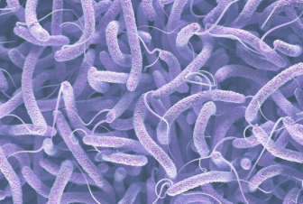 Սիրիայում տեղի Է ունեցել խոլերայի բռնկում