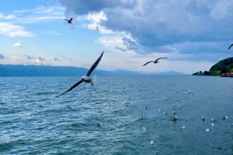 Սեւանա լճից ոռոգման նպատակներով այս տարի բաց է թողնվել 165 միլիոն 63 հազար խորանարդ մետր ջուր