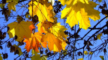 Հոկտեմբերի 7-8-ը սպասվում է առանց տեղումների եղանակ