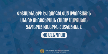 Վիտամինների և չարգելված սպորտային սննդի ձեռքբերման համար մարզական ֆեդերացիաներին հատկացվել է 40 մլն դրամ