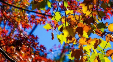 Հայաստանում սպասվում է փոփոխական եղանակ, կտաքանա 2-3 աստիճանով