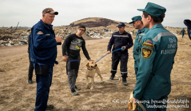 Ռուս մասնագետները վերապատրաստում են ՀՀ ԱԻՆ կինոլոգներին