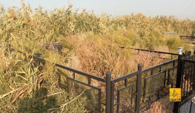 Ներքին Չարբախում 20 գերեզմանատեղ ծածկվել է կոյուղաջրով. Երևանի քաղաքապետարան