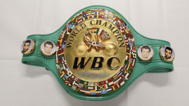 Հայաստանը պաշտոնապես ներկայացվել է որպես WBC անդամ