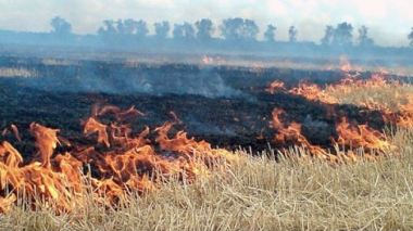 Ստեփանավանի տարածաշրջանում այրվել է մոտ 100 հա խոտածածկույթ