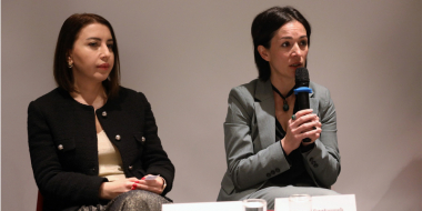 «Կրթության խնդիրը բռնությունը մերժելու հանրային վարքականոնի ձևավորումն է ». Ժաննա Անդրեասյան