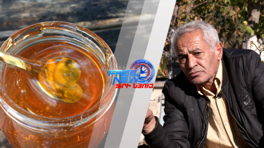 Բացահայտելով մեղվաբուծության գաղտնիքները