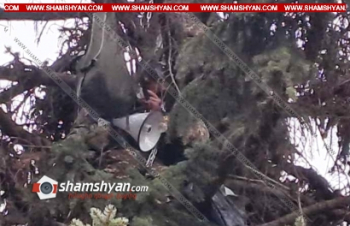 Արտառոց դեպք Գյումրիում.քաղաքացին բարձրացել է եղևնու ծառի վրա և սպառնում է ինքնասպան լինել,պահանջելով,որ դեպքի վայր ժամանի եպիսկոպոս Աջապահյանը