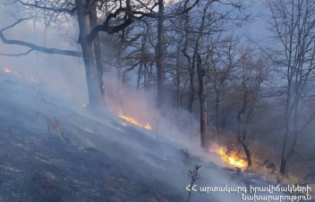 «Դիլիջան ազգային պարկ»-ի տարածքում բռնկված հրդեհը մեկ օր անց մարվել է