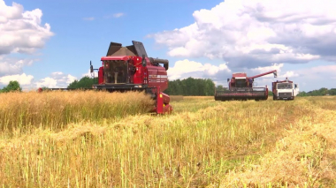 Բելառուսը հայտարարել է, որ պատրաստ է ուկրաինական հացահատիկ բաց թողնել Լիտվա
