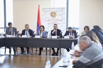 Մշակույթի և սպորտի ոլորտների ռազմավարությունների նախագծերը քննարկվել են նախարարին կից հասարակական խորհրդի նիստում