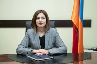 Անահիտ Ավանեսյանը Կատարում կքննարկի բնագավառում համագործակցությանն առնչվող հարցեր