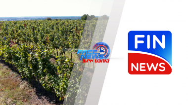 Խաղողի այգիները գույքագրվել են