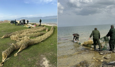 Սևանի «Սպիտակ ափ» տարածքի ջրային հատվածից դուրս են բերվել 19 ապօրինի խեցգետնաորսիչներ