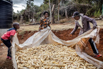 Պարենի համաշխարհային գները մայիսին նվազել են. ՄԱԿ