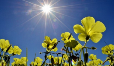 Օդի ջերմաստիճանը հունիսի 8-9-ը աստիճանաբար կբարձրանա 3-5 աստիճանով. եղանակը Հայաստանում