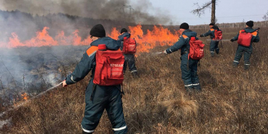 Խաբարովսկի երկրամասում անտառային հրդեհները տարածվել են 181,7 հազար հեկտար տարածքի վրա