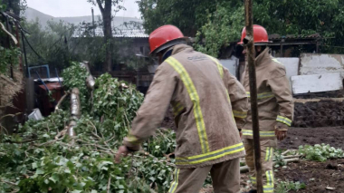 Մարալիկ քաղաքում ծառը կոտրվել և ընկել է գազատար խողովակի վրա