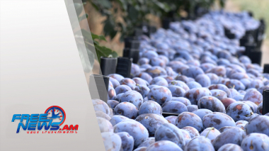 Գյուղատնտեսության ապահովագրության ծրագրերի արդյունքները