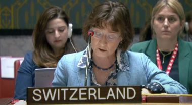 Ուժի գործադրումն ընդունելի չէ որպես հակամարտության լուծման միջոց. Շվեյցարիայի ներկայացուցիչ