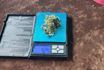 Արմավիրի ոստիկանները բացահայտել են կանեփ աճեցնելու և ապօրինի թմրանյութ պահելու դեպք